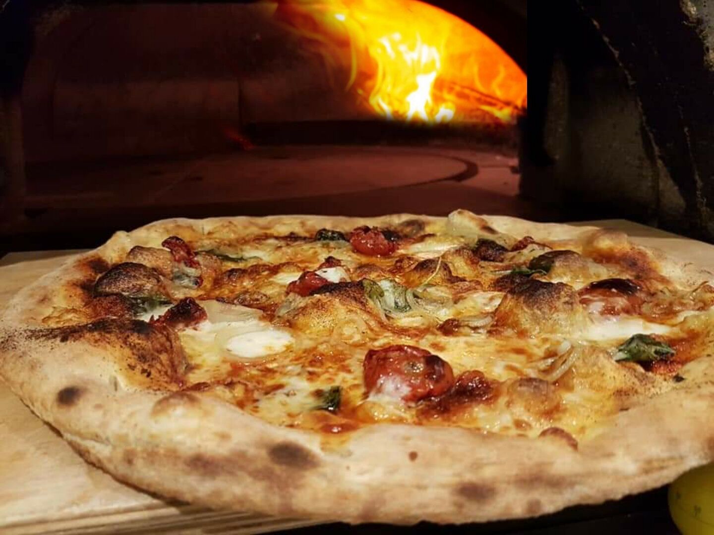 Wood-fired pizza from the oven